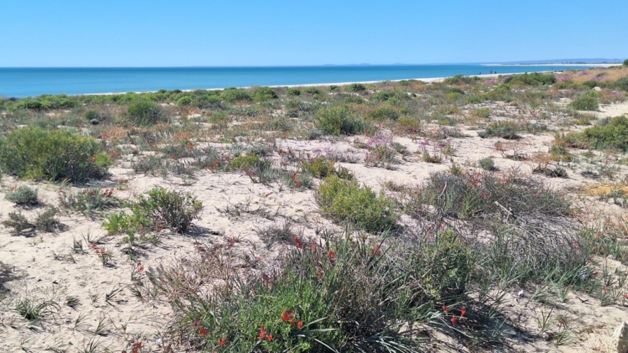 3 Bedroom Property for Sale in Atlantic Waves Estate Western Cape